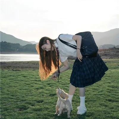 银色之翼