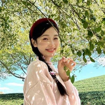灵书妙探第七季